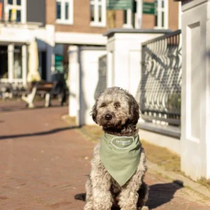 Hondenijs